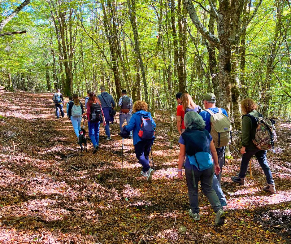 Avventura nei boschi di Troina